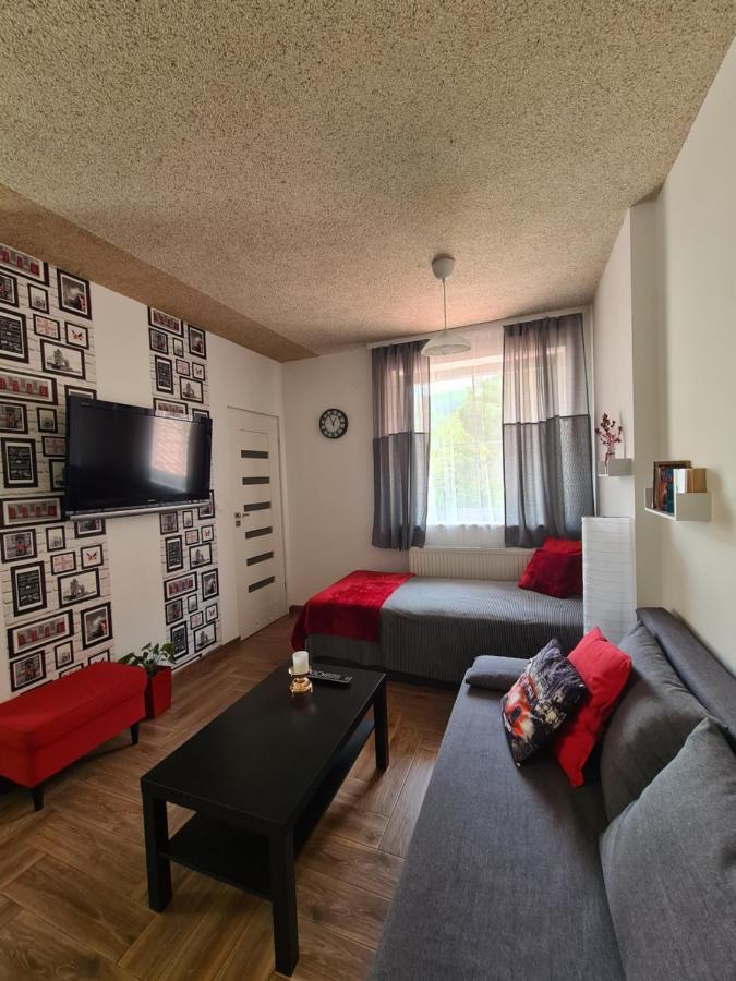 Apartamenty Katarina Ustrzyki Dolne Esterno foto